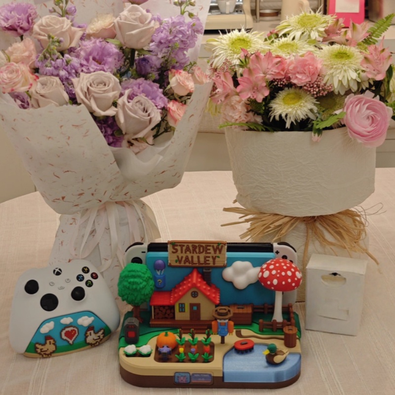 Switch Dock Stardew Valley Far - Gaming Console Stand avaliação e preço